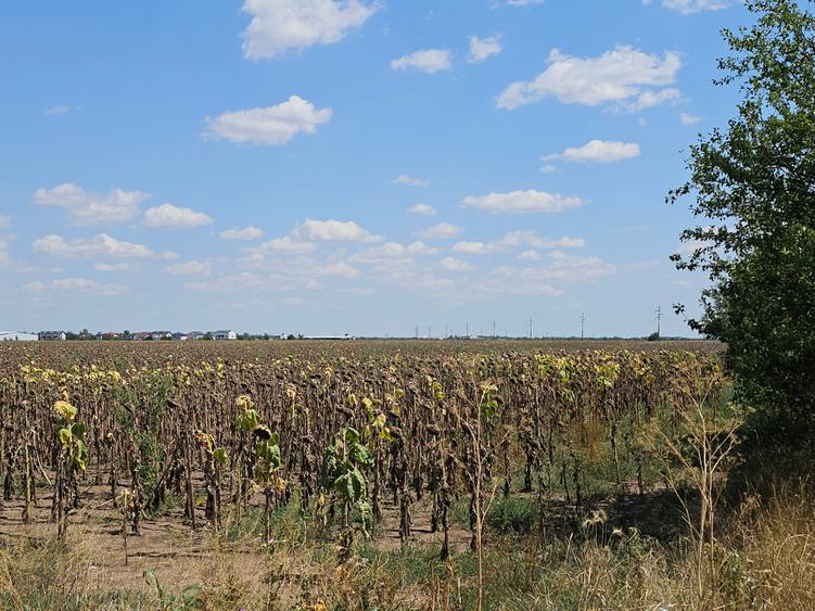 Teren Popesti | A0 | 3.3 HA intravilan | CU P+2 | Comision 0 - 8