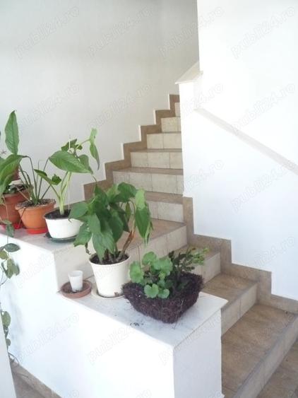 Vand Cladire Birouri Central, SC1022 mp , Sp+P+E+M, , teren 1290 mp, gaz, (inc oras ), str linistita - 2