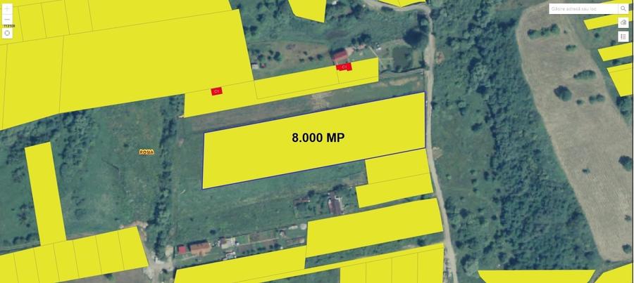 Teren 8.000 mp in Daia Noua / com. Rosia / jud. Sibiu - 1