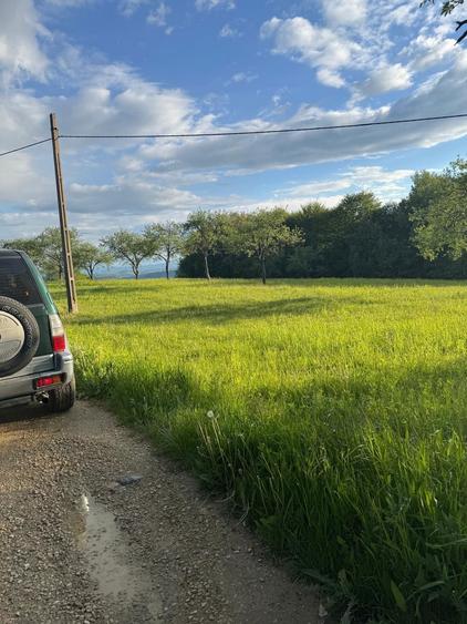 Pamant de vanzare - 2