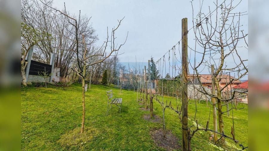 Casa cu 867mp de teren in Andrei Muresanu - 18