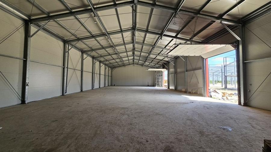 Hale noi in zona Progresul, Jilava - 3