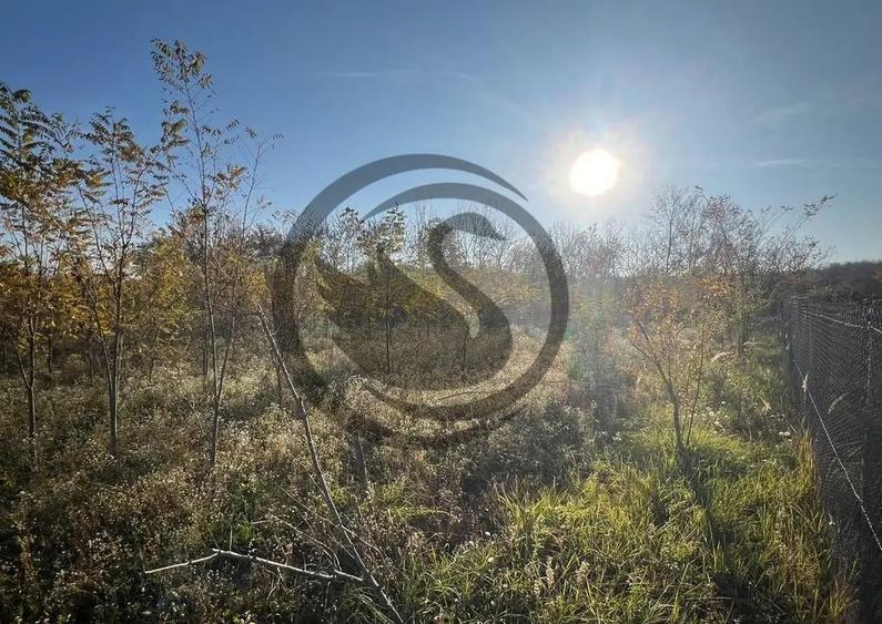 Teren intravilan de vanzare | 12.650 mp | Ghirdoveni, | C... - 5
