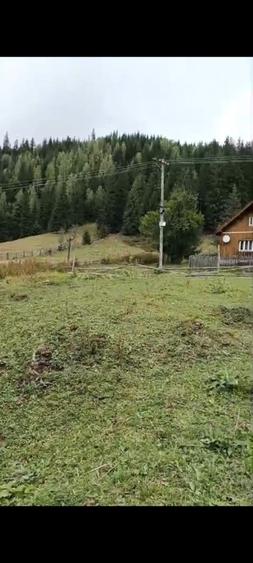 TEREN DORNA ARII - 10