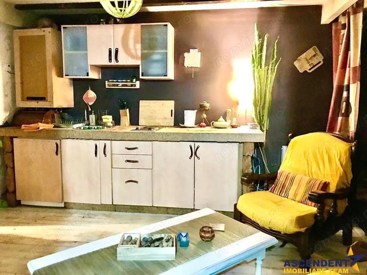 Pet friendly!FILM! In Bohemian Style,loc parcare,curte proprie,vedere panoramica,cartierul Troitelor - 20