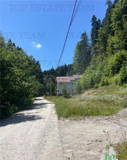 IDEAL INVESTITIE TEREN PREDEAL, 1936 mp intravilan, toate ut - 7