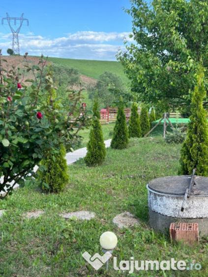 Casa de vacan?a in Ludu?, zona Candarai intre Cluj ?i Targu Mure? - 9