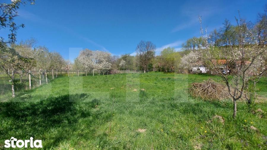 Casa autentica 3.100 mp teren, livada si parau I Lisnau - 10