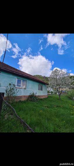 Casu?a la munte, zona superba! - 1