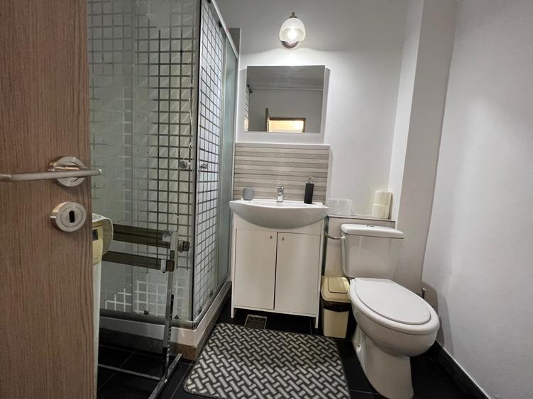 Apartament cu 1 camera, zona Centru - Palas - 8