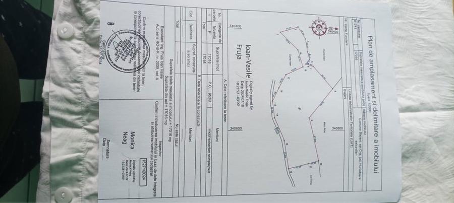 Se vinde teren-10 hectare in comuna Blajeni judetul Hunedoara - 1