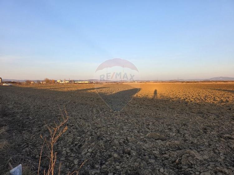 Teren intravilan, 5000 mp, Stupini, str Pomiculturii - 10