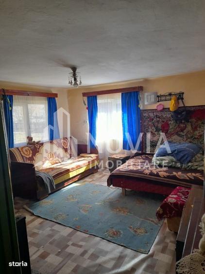 Corp de 2 case individuale, zona Intregalde, 130mp utili si 1035 mp te - 8