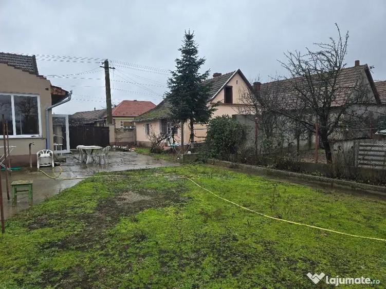 Casa plus anexa parter, Tamaseu central, gaz, sosea , ter 3040 mp - 1
