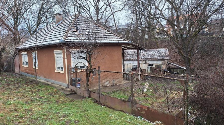 Casa de vanzare cu gradina si curte - 10