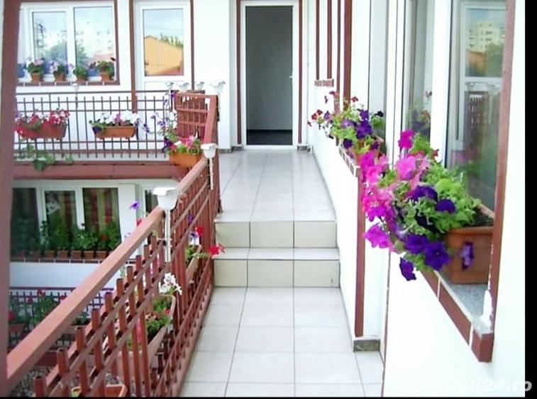 Vila zona Agricultori - 1