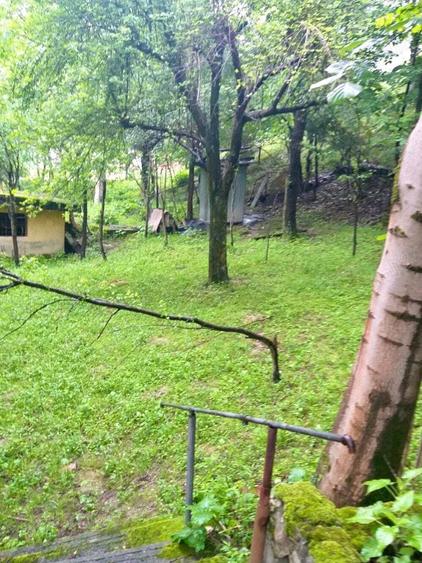 VAND sau SCHIMB casa de vacanta Defileul Jiului - 2