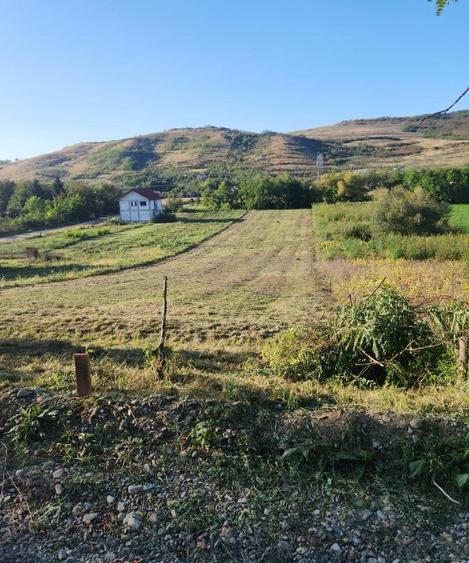 Vând 1200m teren intravilan și 1700m teren extravilan în Comuna Căianu, jud. Clu - 9