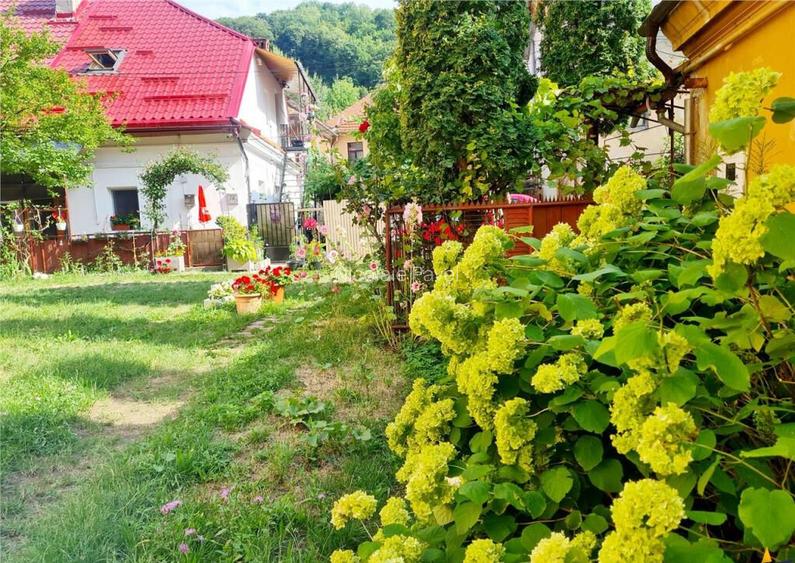 3D! Locatie decomandata,cu gradina, rezidential activitate p