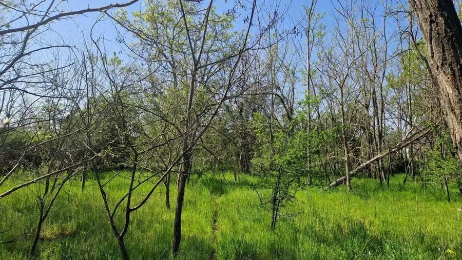 Casa de vanzare comuna Ianca jud olt - 4