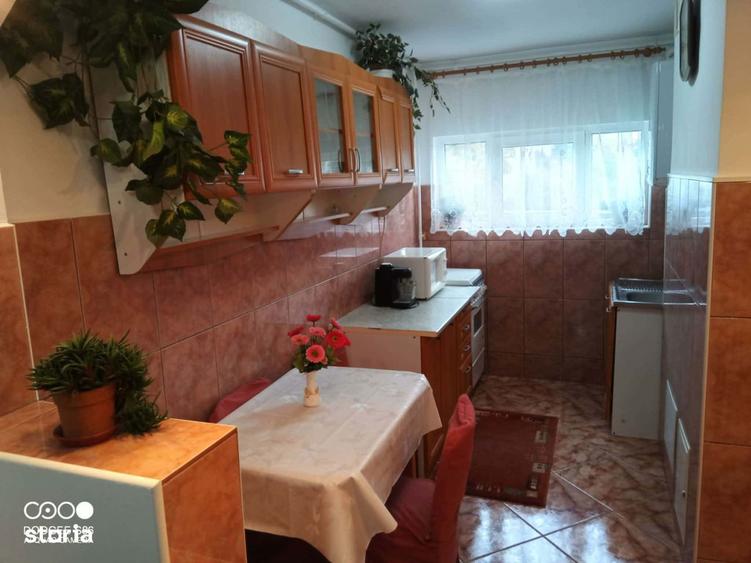 De inchiriat apartament cu 2 camere, Dambu Pietros, Parangului - 10