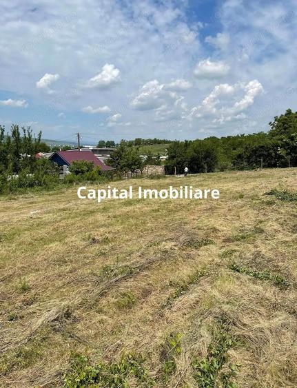 Teren de vanzare in Jucu de Sus: 1763 mp - 7