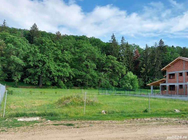 Teren intravilan Cristian, Brasov, canalizare, curent, apa, proprietar - 3