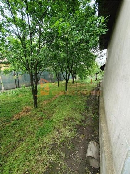 EXCLUSIVITATE! Casa + teren zona Beilic, com. Sageata - 14