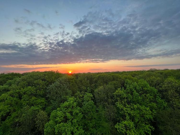 Apartament 2 camere Baneasa - 20