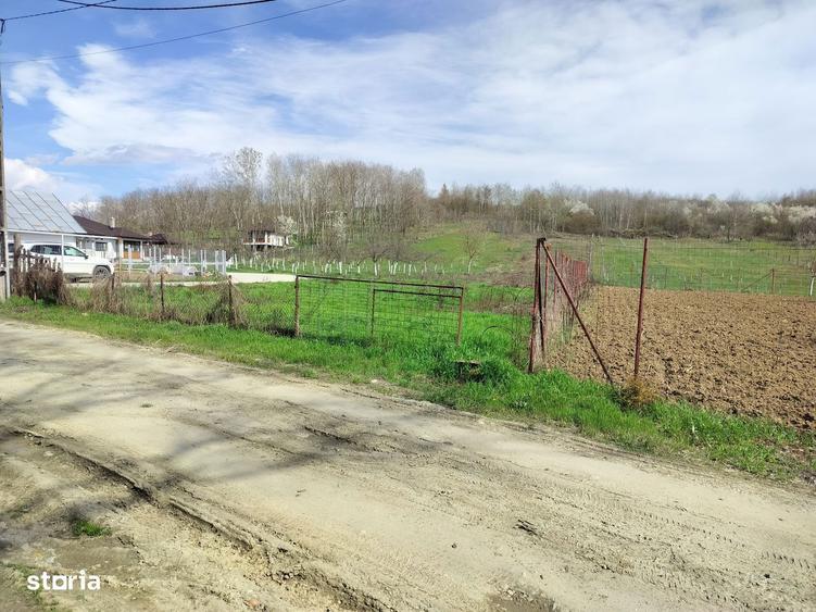 Vand teren 2 km de Mioveni - 1