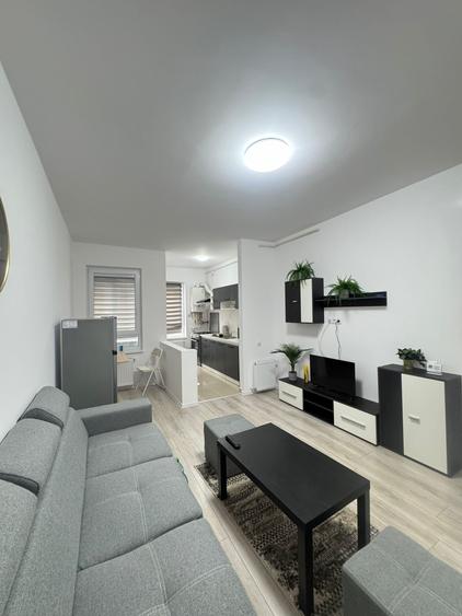 Apartament 2 camere,mobilat si utilat-Ilie Petre 88 - 3