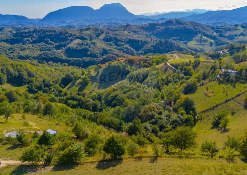 Teren extravilan 6,014mp | Holbav | BRASOV | COMISION 0| - 12