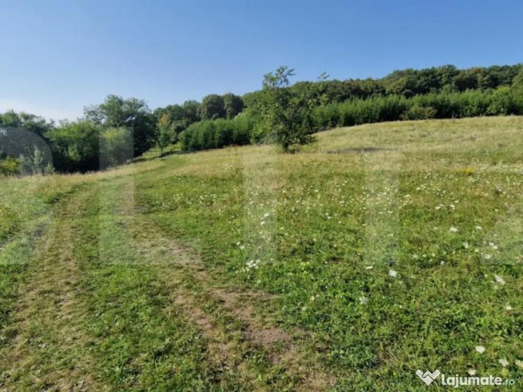 Teren de vanzare, 1Ha in apropiere de cartierul RAAL - 1
