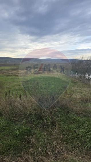 Teren intravilan si extravilan 8,282mp oras Negresti, judetul Vaslui - 8