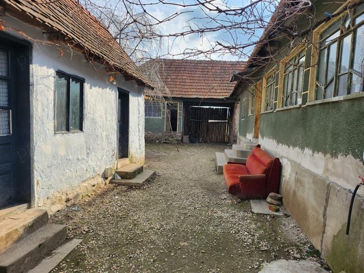 Vand casa Tau?, Arad - 4