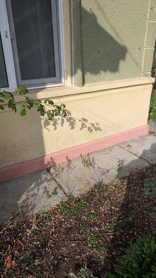 Casa de vanzare Movila(Ialomita) 1877mp - 6