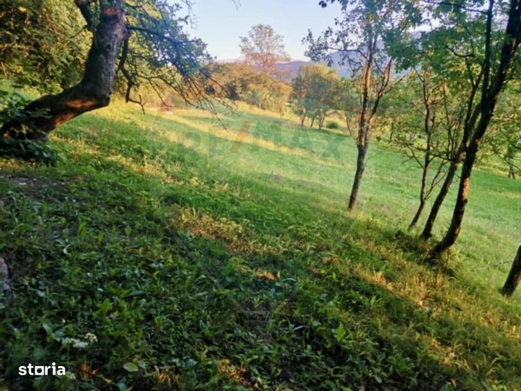 Teren extravilan Breb 6,900mp - 6