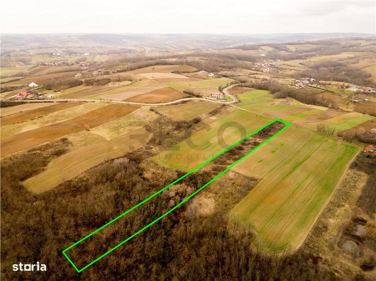 RECO Teren intravilan in Ceica Bihor - 9