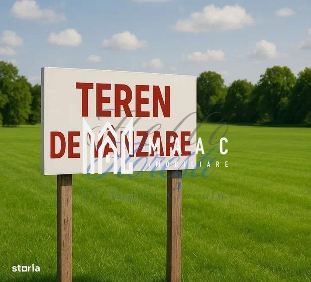 Teren 2317 mp INVESTITIE Sibiel - 3