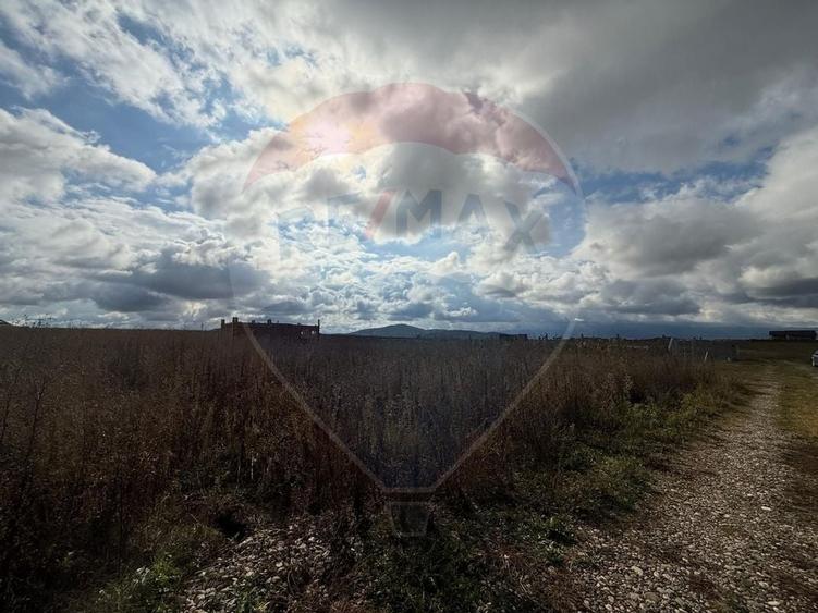 Comision 0%! Lot de casa in zona de dezvoltare, intre Sanpetru si Bod - 5