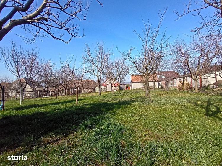 Casa in Cheriu + o casa restaurata cu 1277mp livada si gradina - 9