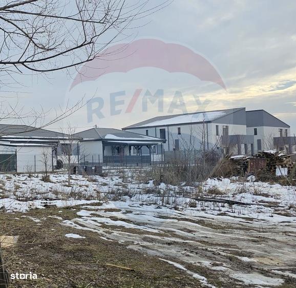 Teren 750mp Domnesti / Strada Martisor - 4