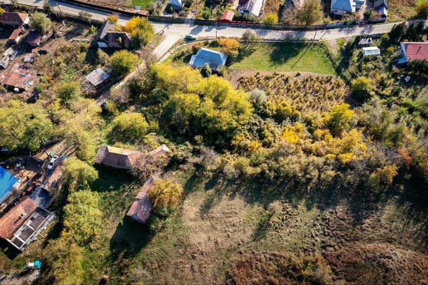 Teren de vanzare Jud Bacau - 4