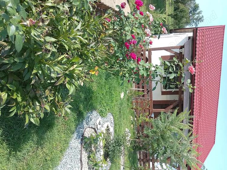 Casa din 2019 cu 4300 mp intravilan, livada bio ?i vie la 45 min de Cluj - 10