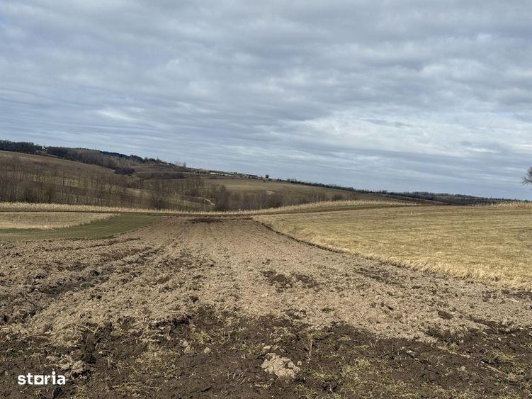 Teren intravilan | 16 ari | Horodnic de Jos zona Calugari?a - 4