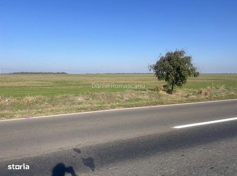 Teren de vanzare 23.389 m2 | Deschidere 138 m la DN4 | GruiuBudesti