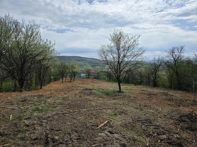 De vanzare teren intravilan 6704 mp Barsau, jud. Hunedoara - 7