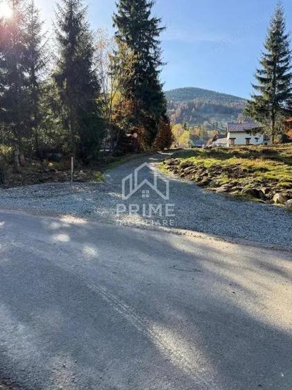 Parcele 500 MP cu CF-uri proprii in intravilanul Galbena, AB - Arieseni - 4