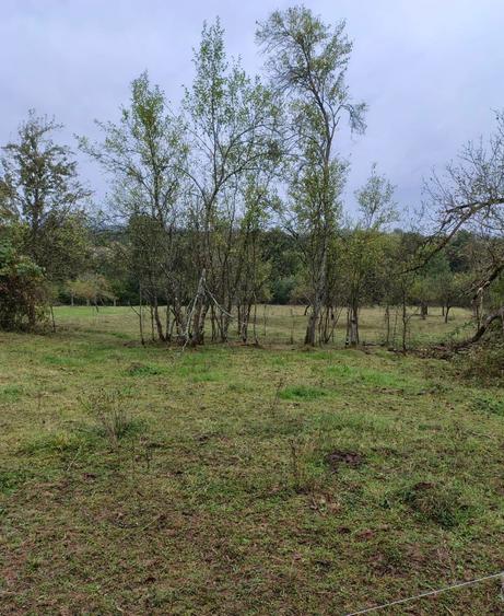 Casa cu teren 2 hectare intravilan - 2