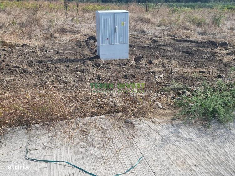 Vanzare loturi rezidentiale Popesti-Leordeni/Frumusani - 3